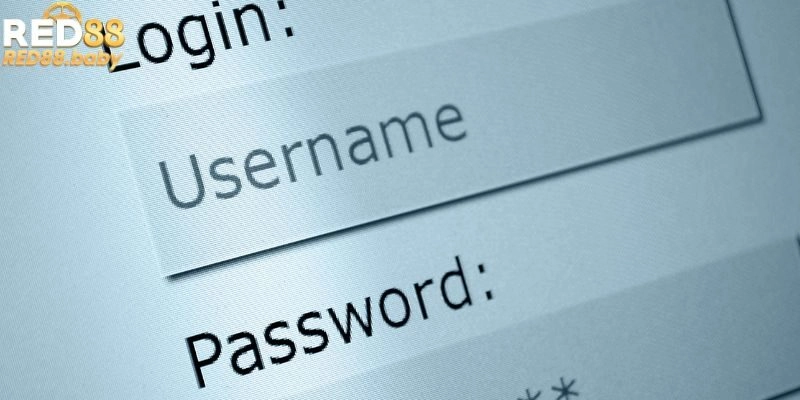 Chỉ dẫn cách login RED88 cực nhanh Chỉ dẫn cách login RED88 cực nhanh